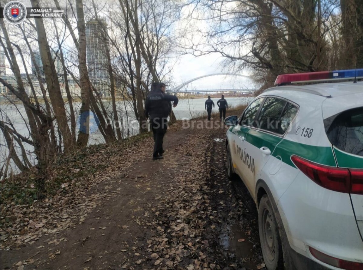 Pátranie po nezvestnej