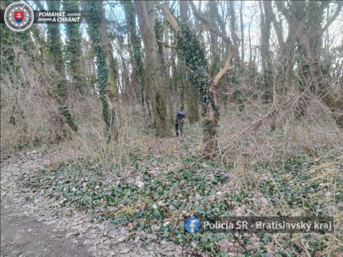 Pátranie po nezvestnej