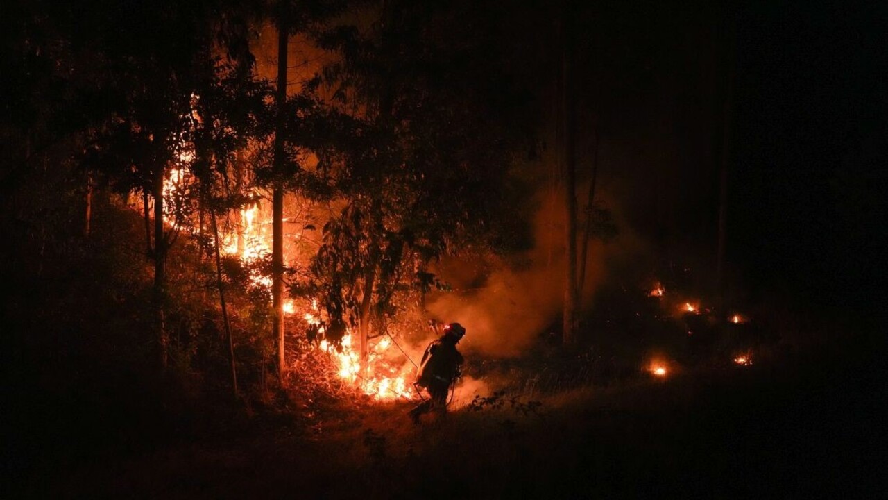V Čile vyčíňajú lesné požiare, vyžiadali si už najmenej 23 obetí