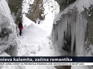 20230205_slepy_zivak_revus_1200_2.jpg