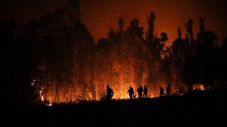Lesné požiare sužujú Portugalsko. Svoje domovy muselo opustiť vyše tisíc ľudí