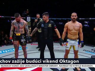 mma_15.jpg