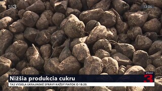 Slovensko dosiahlo nižšiu produkciu cukru. Môže za to extrémne sucho a energetická kríza