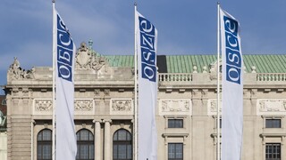 Rakúsko čelí ostrej kritike. Udelilo víza ruským zákonodarcom, môžu sa tak zúčastniť zasadnutia OBSE