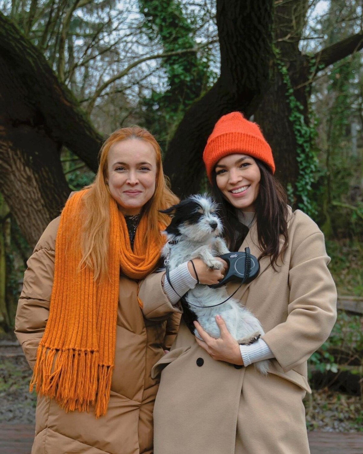 Krištáľové krídlo