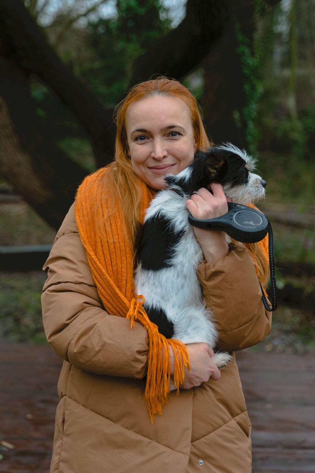 Krištáľové krídlo