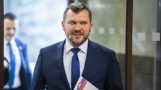 Karas nevidí dôvod na zmenu ústavy v súvislosti s darovaním stíhačiek. Odmenu 500 eur považuje za zaujímavý nápad