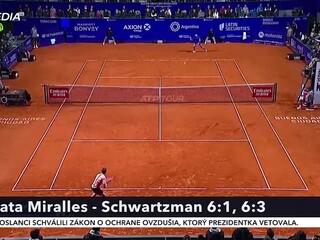 schwartzman.jpg