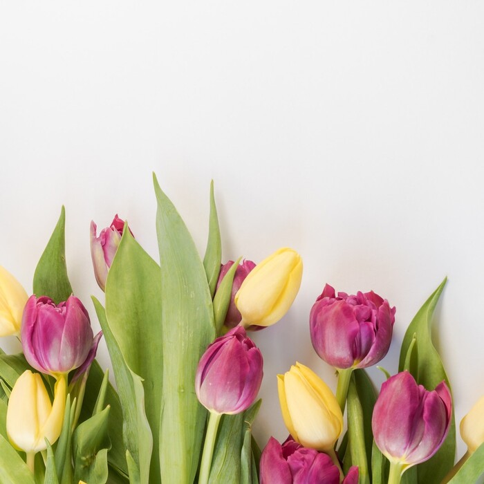 Takto kvety vydržia vo váze dlhšie: Tulipány prepichnúť, hortenzie polámať a ruže?