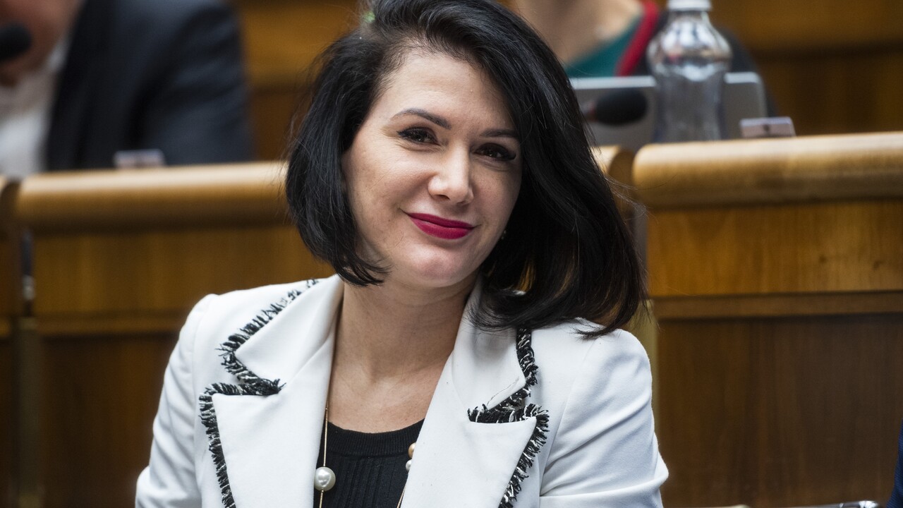 ROZHOVOR: OĽANO chce čo najviac štátnej kontroly. Najradšej by všetko súkromné zrušili, hovorí Cigániková