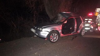 Auto narazilo pri Hlohovci do stromu, nehodu neprežil 17-ročný spolujazdec
