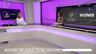 Prepravné služby ako biznis