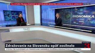 Najväčším problémom sú dotácie na energonosiče. Chýba nám dôležitá daňová reforma, tvrdí Činčala