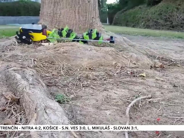 Šikovný obojživelný robot sa pri pohybe inšpiroval prírodou