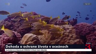 osn_ocean_1.jpg