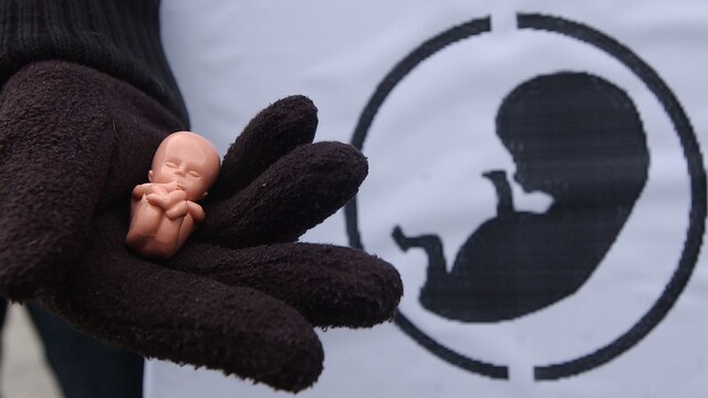 Poľsko rozdeľuje zákon o potratoch. Väčšina obyvateľov si myslí, že by o ňom malo rozhodnúť referendum