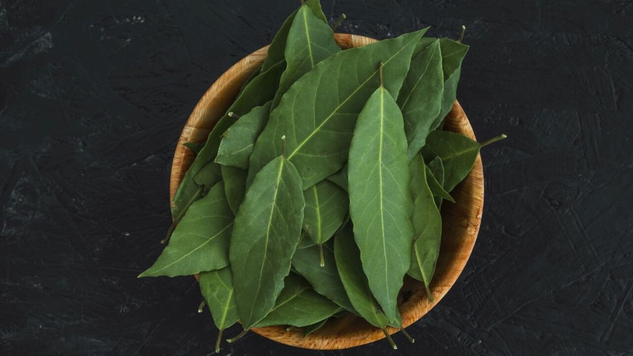Bobkový list a jeho účinky: Do kuchyne i na liečenie si ho vypestujete aj doma