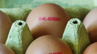 Vajce sa stalo symbolom inflácie v Európskej únii. O koľko zdraželo v jednotlivých krajinách?