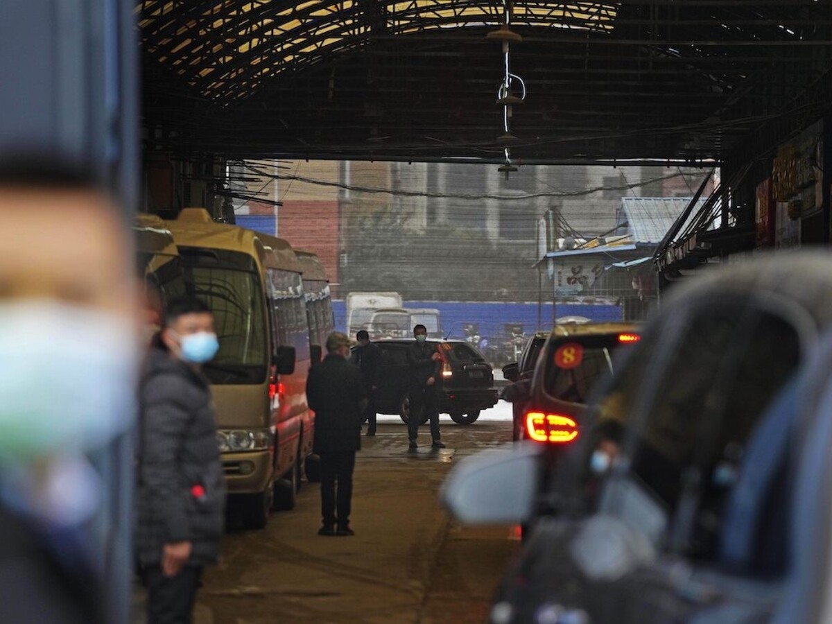 Koronavírus by mohol naozaj súvisieť so zvieratami. Na trhu v čínskom Wuchane objavili silný dôkaz