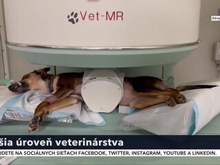 po_veterinarne_centrum.jpg