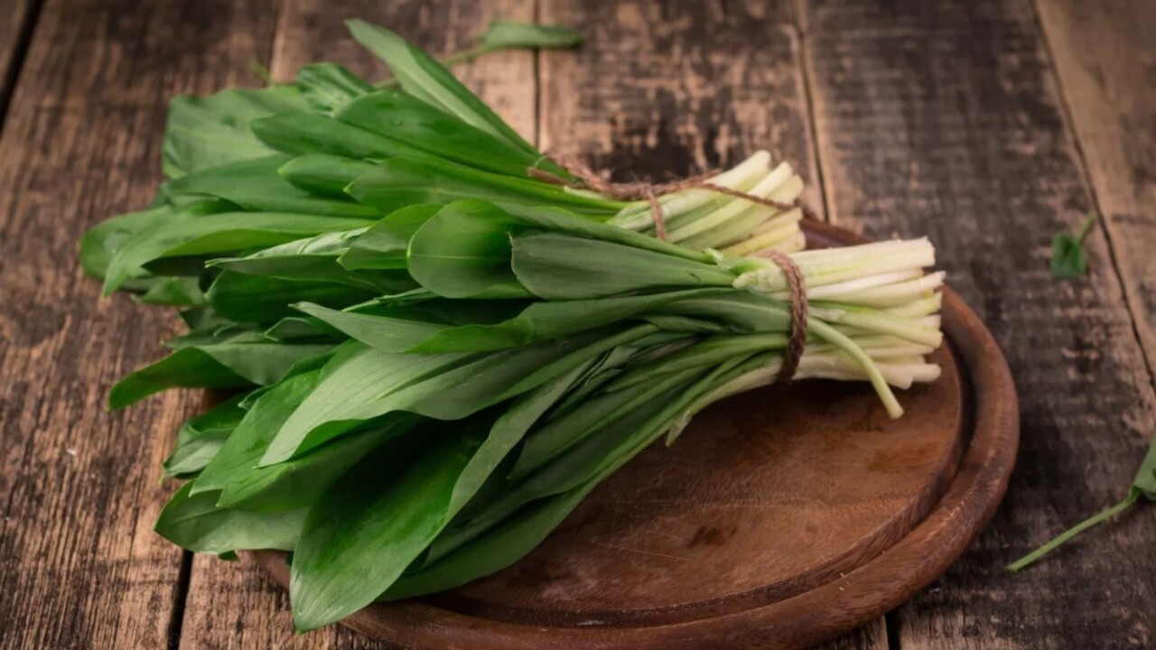 Plný košík vitamínov: Uvarte si lacné a chutné menu z medvedieho cesnaku