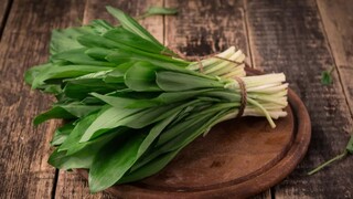 Nie je cesnak ako cesnak. Ten medvedí má v mnohom navrch