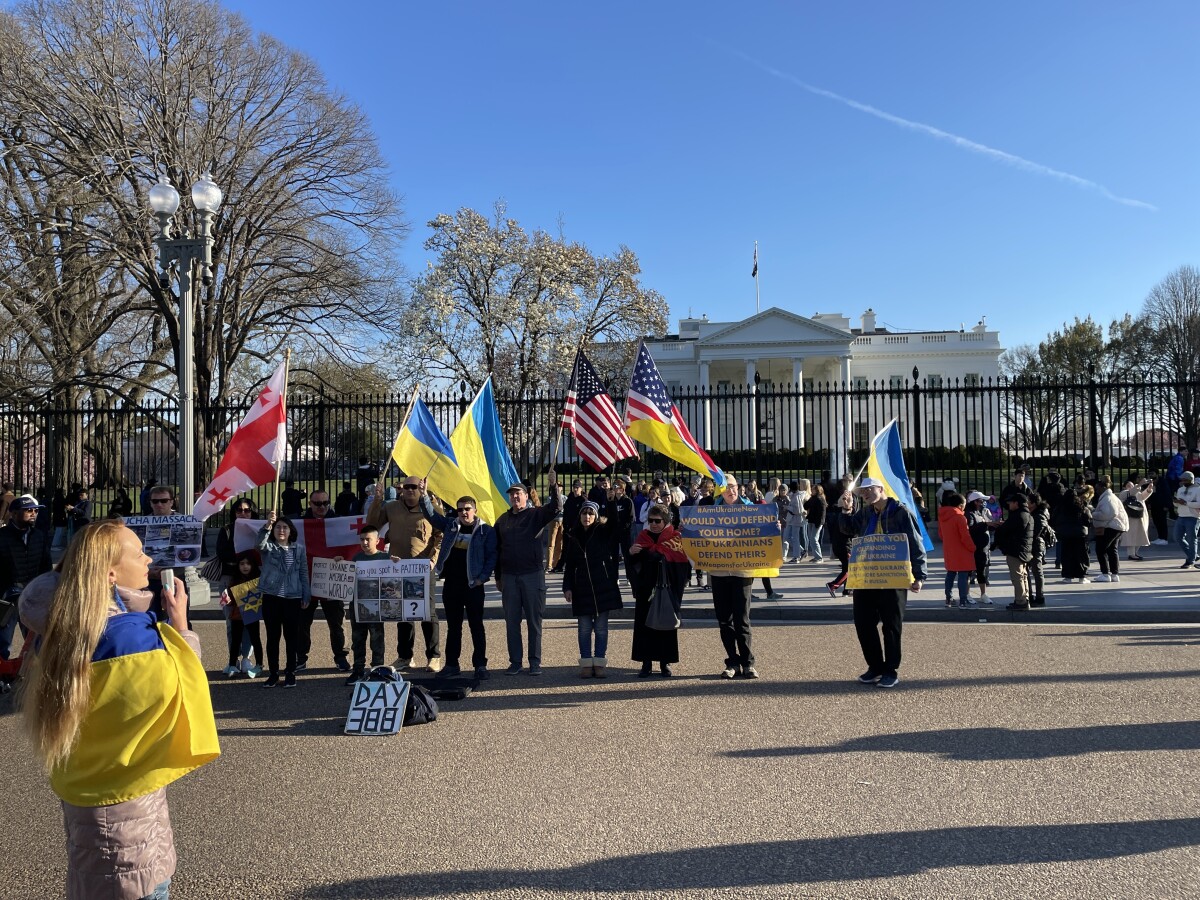 Protest Gruzíncov a Ukrajincov pred Bielym domom