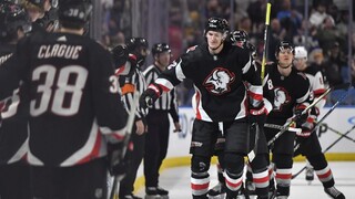 NHL: Sabres oddialili postup do play off pre Devils, Tatar ani Kelemen nebodovali