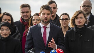 Poslanci ohrozujú budúcnosť Slovenska, tvrdí Šimečka. PS kritizuje legislatívny chaos v parlamente
