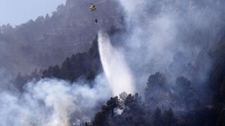 Južnú Kóreu sužujú suchá, hasiči bojujú s viacerými lesnými požiarmi