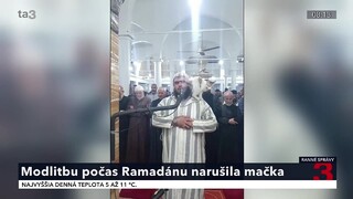 VIDEO: Nočnú modlitbu počas ramadánu narušil nečakaný hosť. Imámovi na ramená vyliezla mačka
