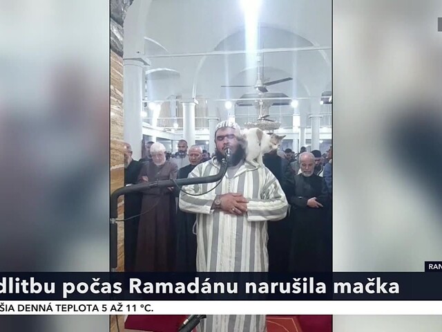 VIDEO: Nočnú modlitbu počas ramadánu narušil nečakaný hosť. Imámovi na ramená vyliezla mačka