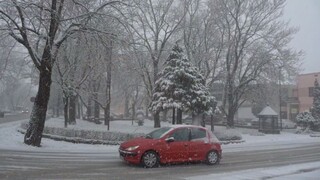 Moldava sa obliekla do biela. Najväčšie mesto okresu Košice-okolie zasypal sneh