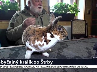 platno_le_velkonocny_kralik_11.jpg