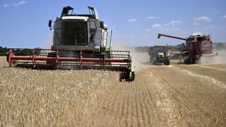 Dohodám o obilí podľa Ukrajiny hrozí zastavenie, Rusko opäť blokuje inšpekcie