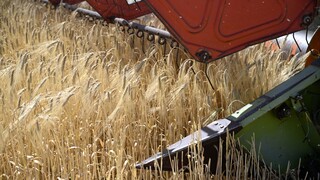 Slovensko sprísňuje pravidlá narábania s ukrajinským obilím, potvrdil sa výskyt pesticídov