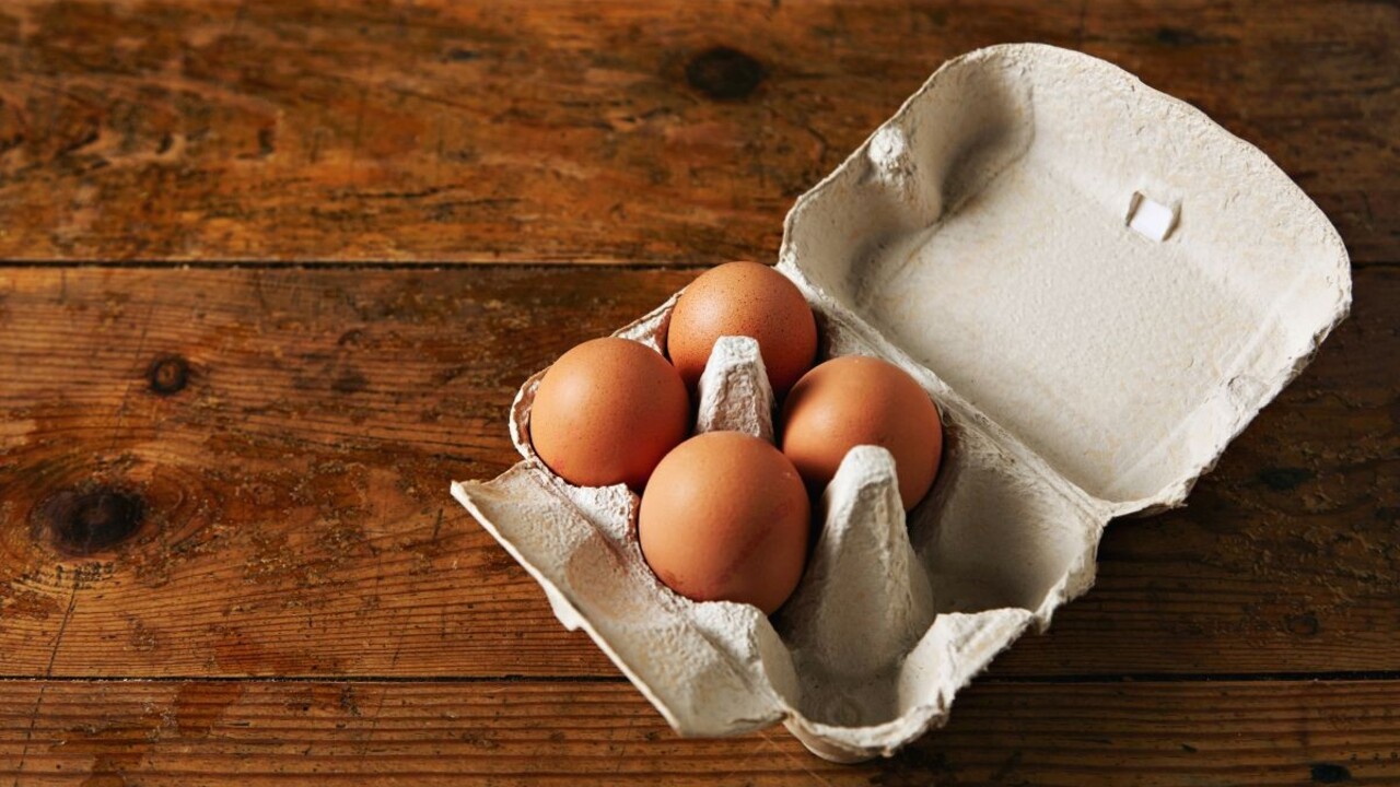 Kartónové obaly od vajíčok nevyhadzujte: Využijete ich na sadenie, šitie i pre deti