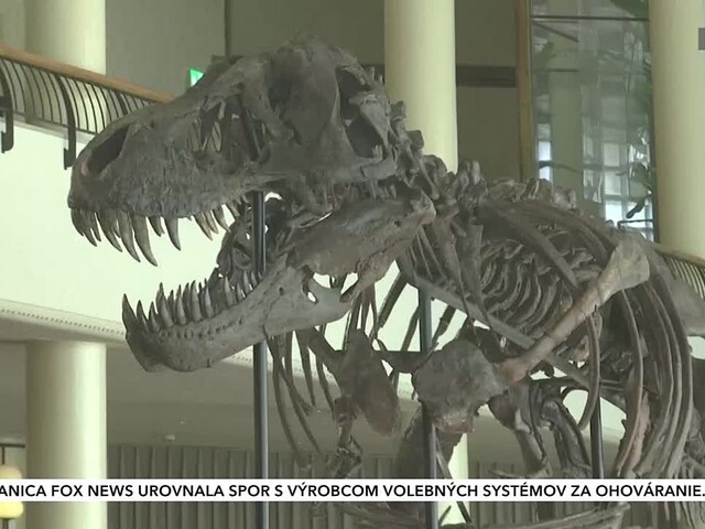 V Zürichu vydražili kostru Tyranosaura rexa. Nový majiteľ ho získal za vyše 5 a pol milióna eur