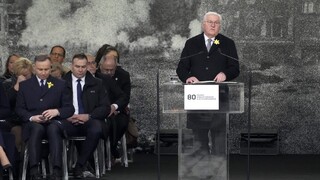 Steinmeier požiadal o odpustenie za zločiny nacistického Nemecka. Varšavou sa rozozvučali sirény