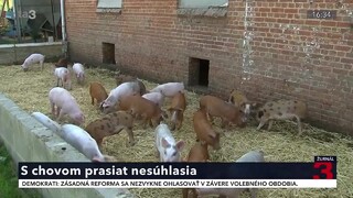 Obyvatelia obce Podlužany nechcú prasaciu farmu. Pre chovateľa žiadajú prísnejšie opatrenia