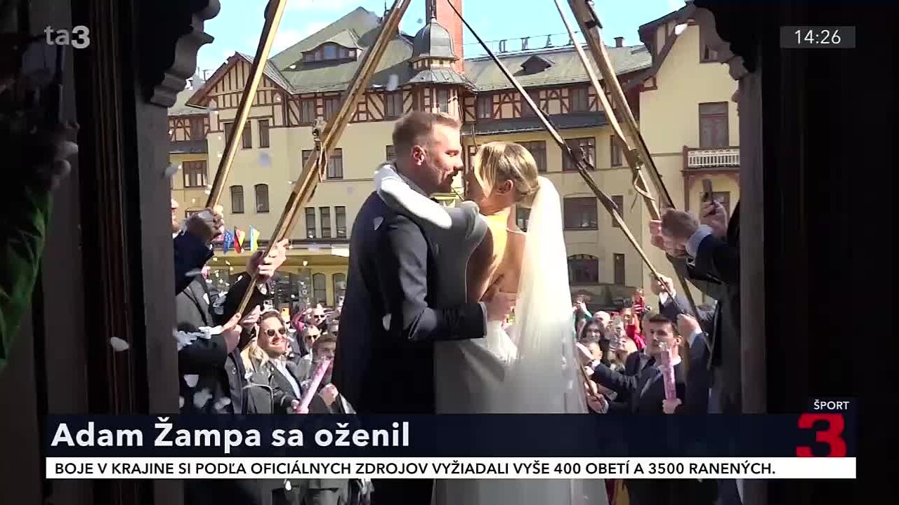 zampa_20.jpg