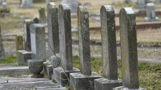 Úmrtnosť na Slovensku klesla. Je nižšia ako pred pandémiou