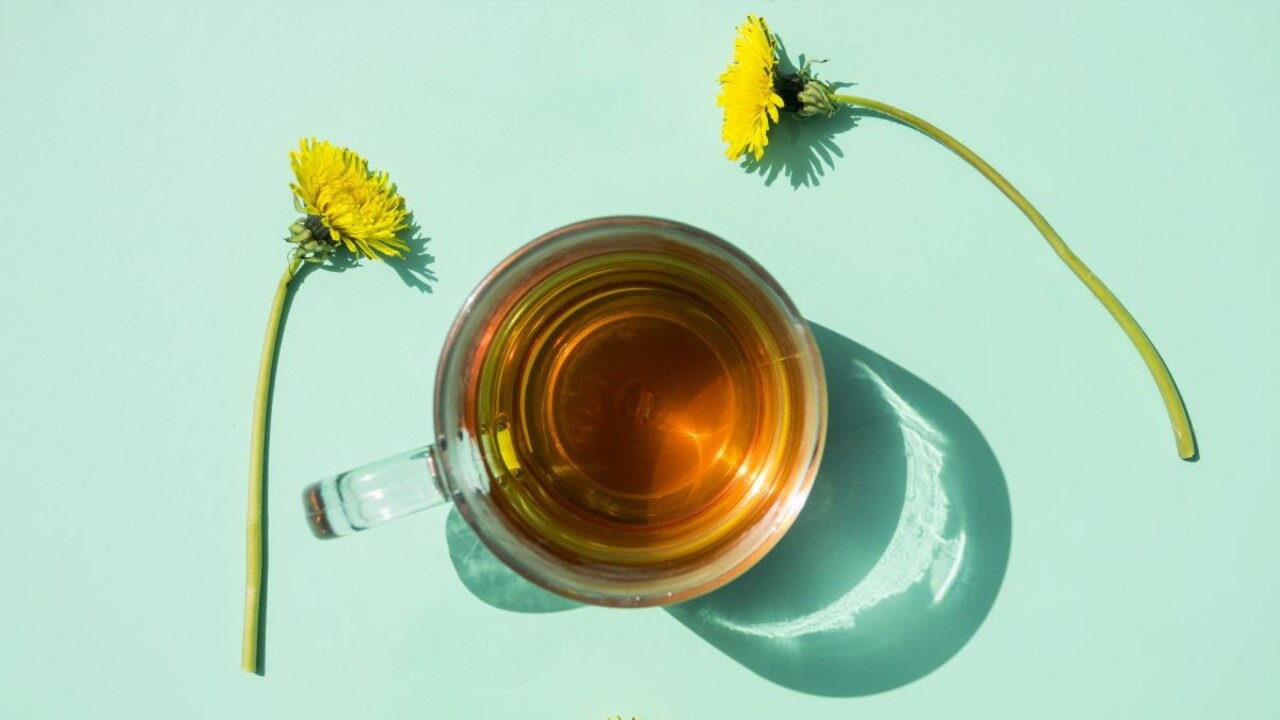 Jarná posila, ktorú si prinesiete z prechádzky: Púpavový sirup je chutný, ale najmä zdravý