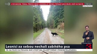 Lesníci za sebou nechali zabitého psa, prípad pobúril verejnosť