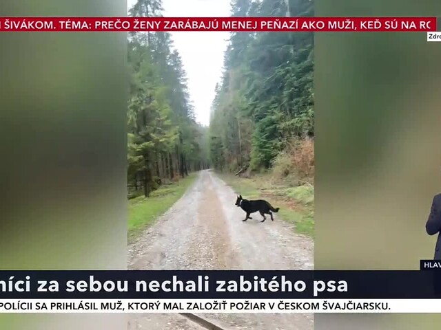 Lesníci za sebou nechali zabitého psa, prípad pobúril verejnosť