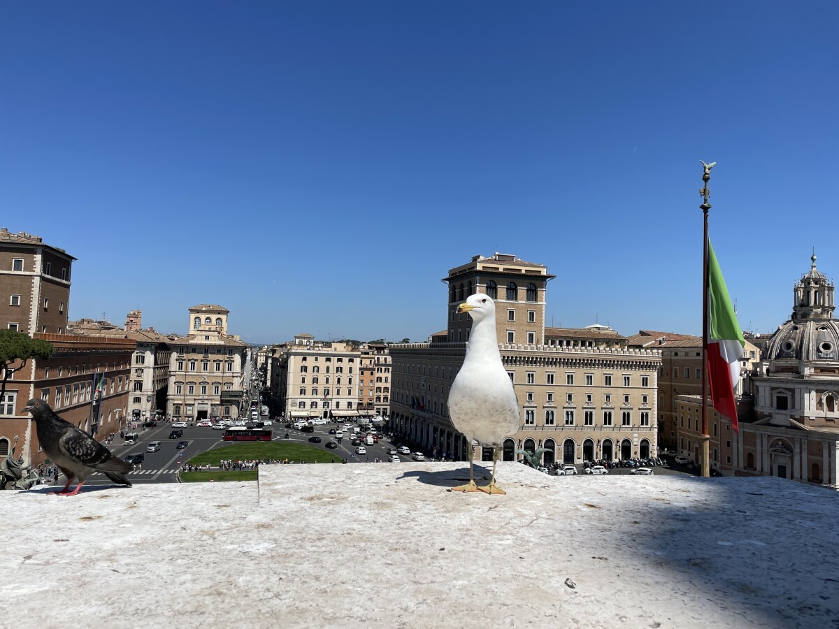 Monument kráľa Vittoria Emanuela II