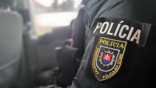 polícia policajt hliadka 