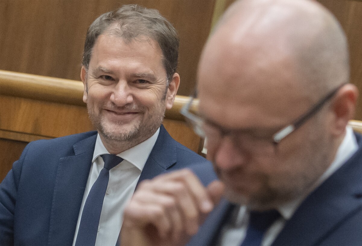 Správanie bývalej koalície je bezplatná kampaň pre opozičné subjekty, tvrdí politológ