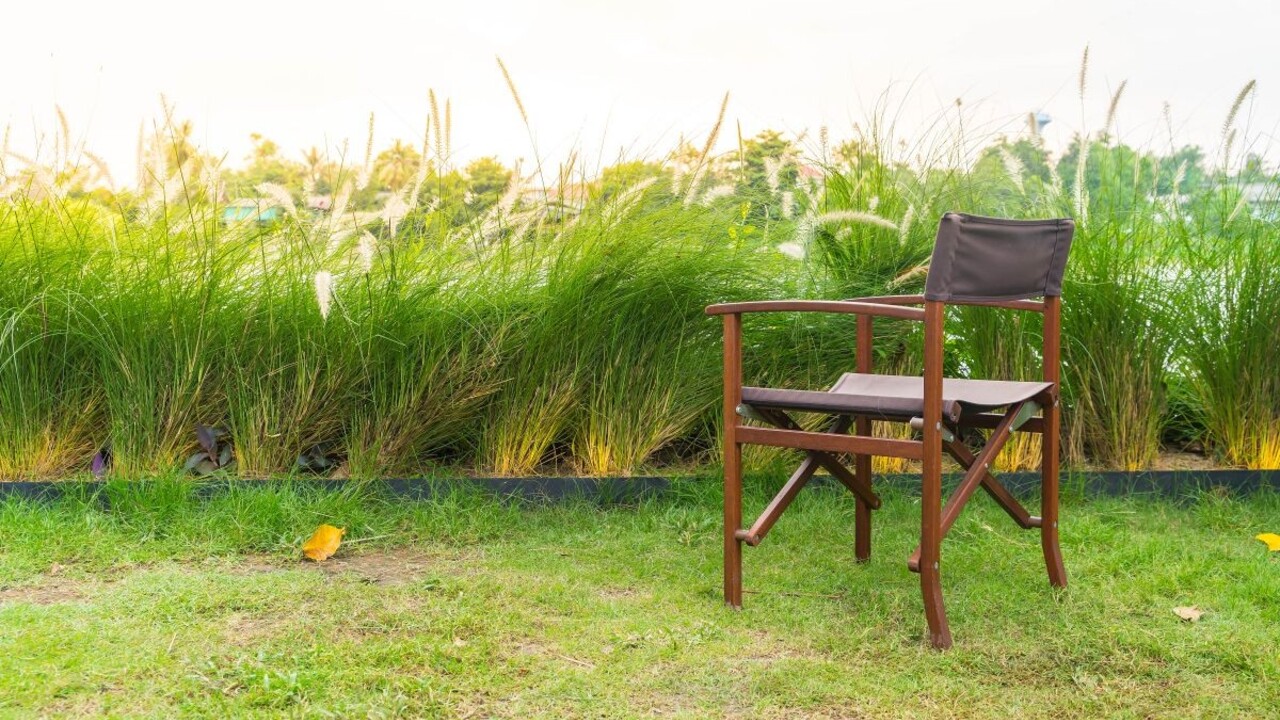 Fľaky na trávniku či vypálené miesta vyrieši toaletný papier: Neuveríte, ako to funguje!