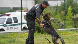 Policajné psy súťažili o titul majstra Košického kraja, predviedli sa v týchto disciplínach